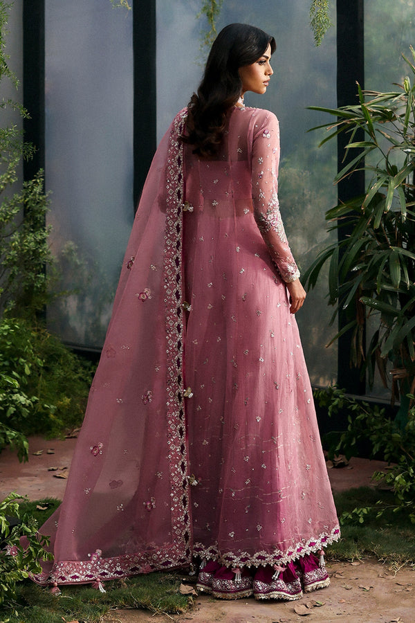 SERAIRA | La Fuchsia '25