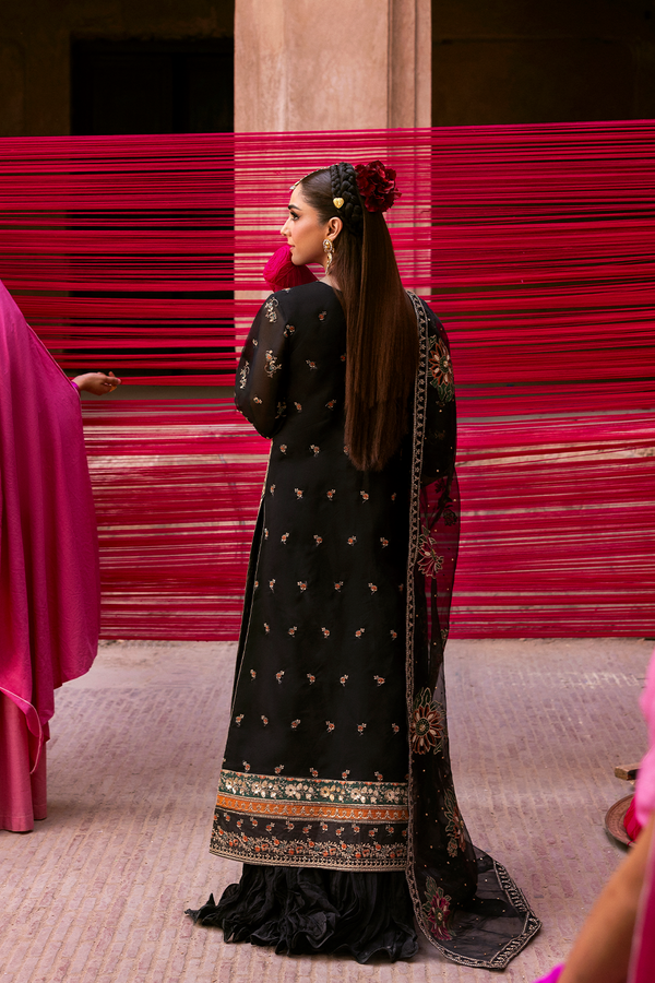 NOCTELLE | Emaan Adeel
