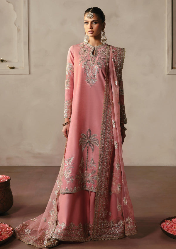 DEWANI RAW SILK BY AFROZEH KV3-V3-24-10