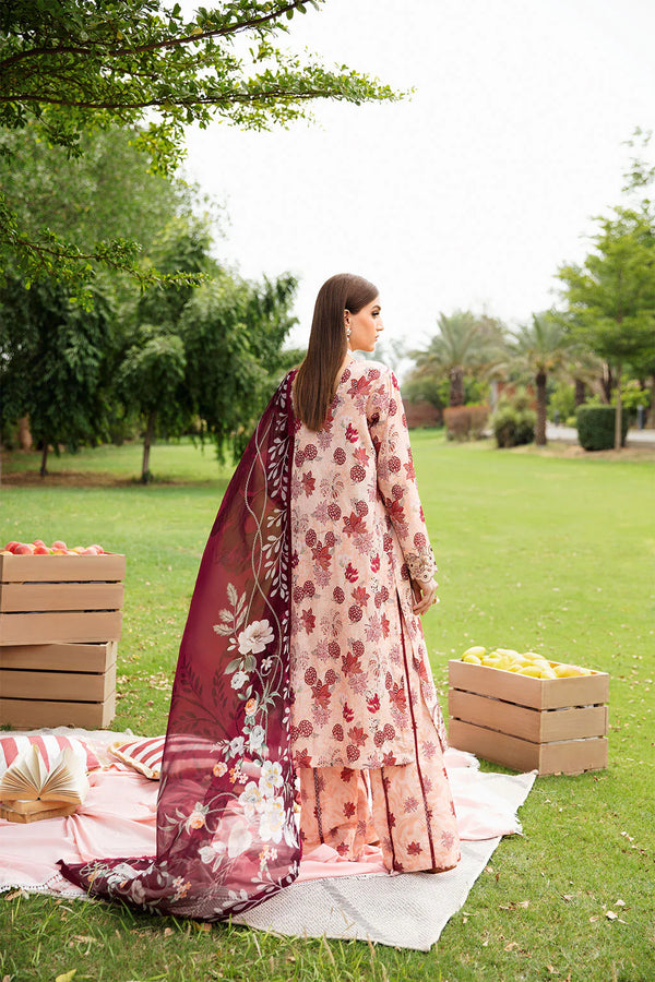 RANGREZ LAWN BY RAMSHA KV6-N-605