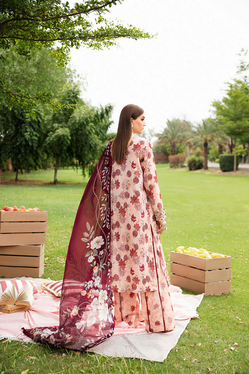 RANGREZ LAWN BY RAMSHA KV6-N-605