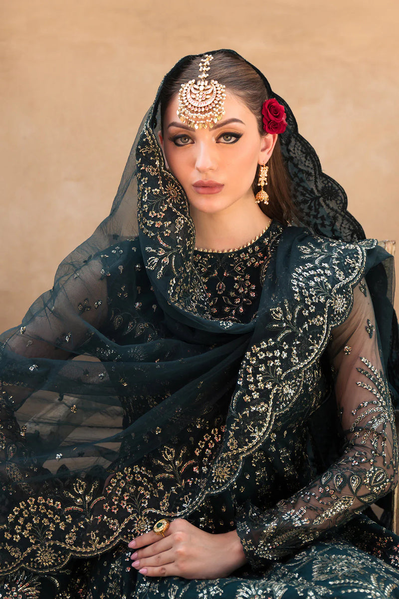 AYZEL EMBROIDERED NET D-09 FARIDA