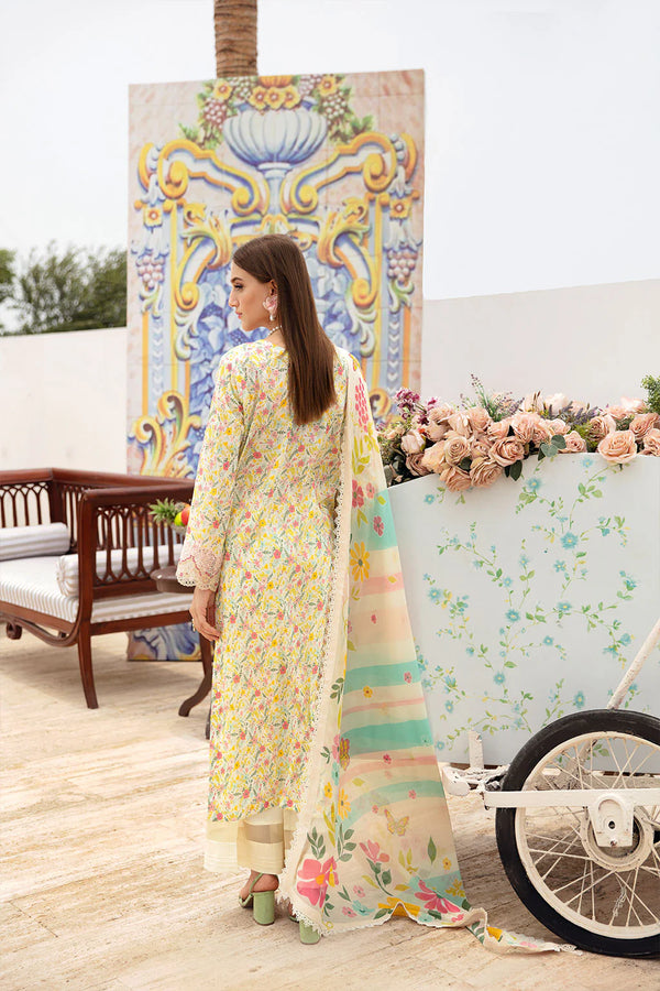 RANGREZ LAWN BY RAMSHA KV6-N-604
